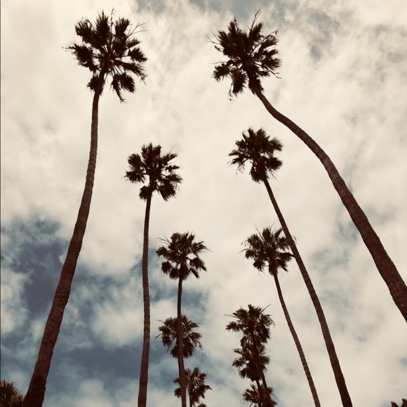 Meet your Posher, E - Picture 1 of 1